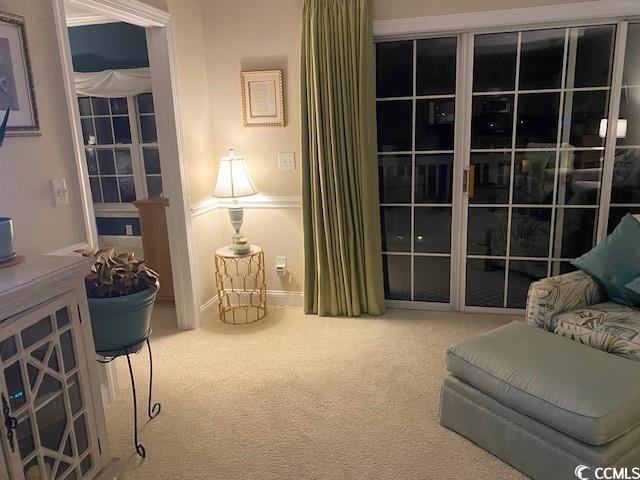 sitting room featuring carpet