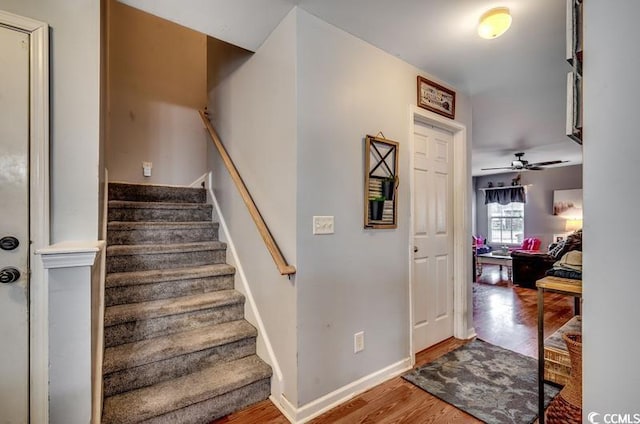 stairway featuring baseboards, a ceiling fan, and wood finished floors