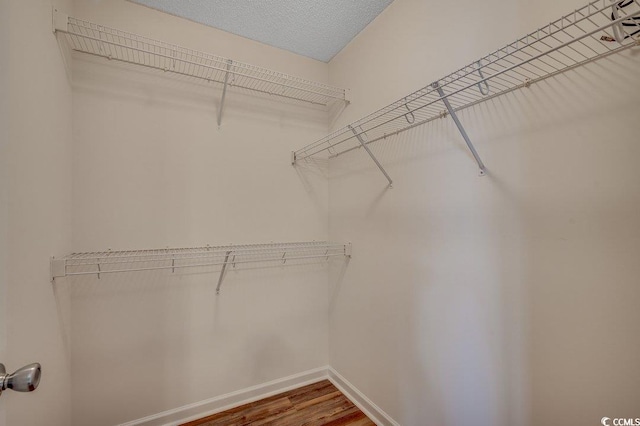 spacious closet featuring wood finished floors