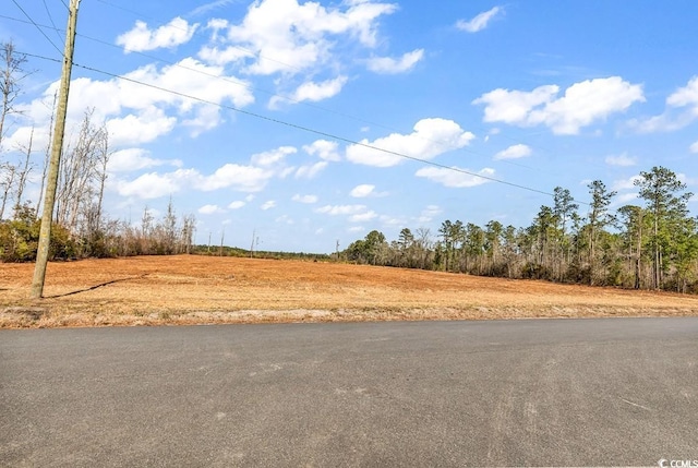 TBD Bellaire Rd, Nichols SC, 29581 land for sale