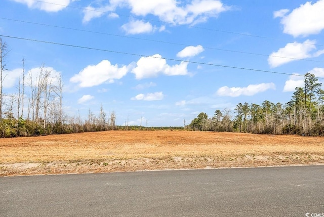 Listing photo 3 for TBD Bellaire Rd, Nichols SC 29581