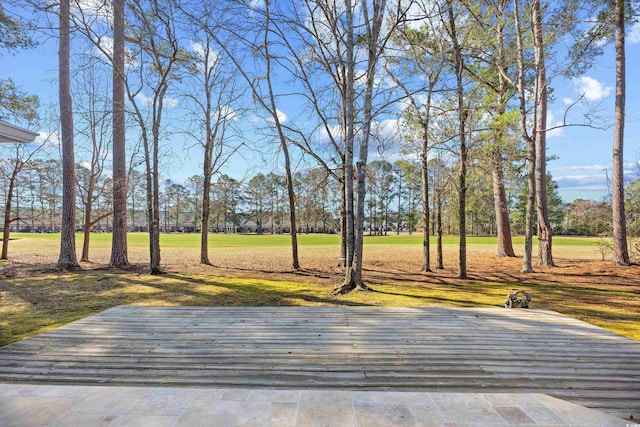 view of home's community with a yard