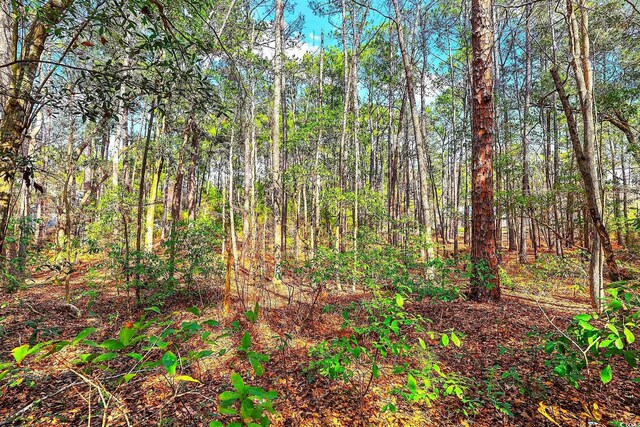 138 Middle Rd, Beaufort, SC 29906 - photo 6