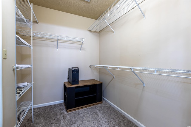 spacious closet featuring carpet floors