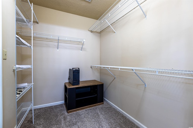 409 65th Ave N, Myrtle Beach, SC 29572 - spacious closet with carpet