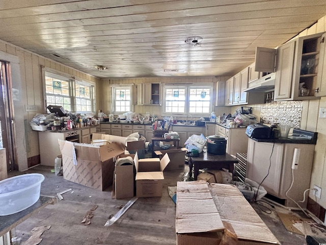 misc room with a sink and wooden ceiling