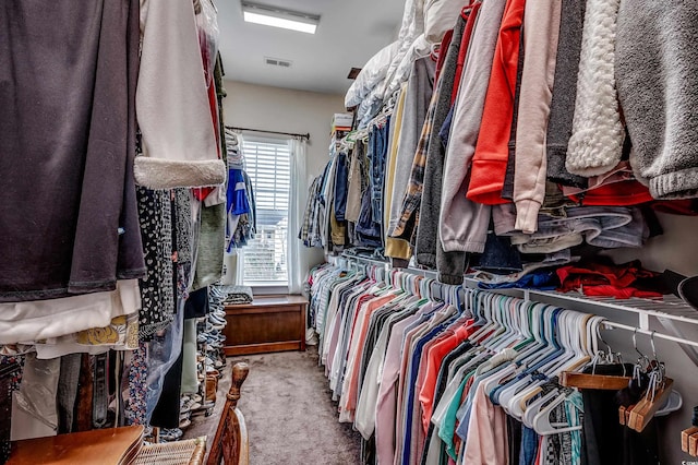 walk in closet with visible vents and carpet floors