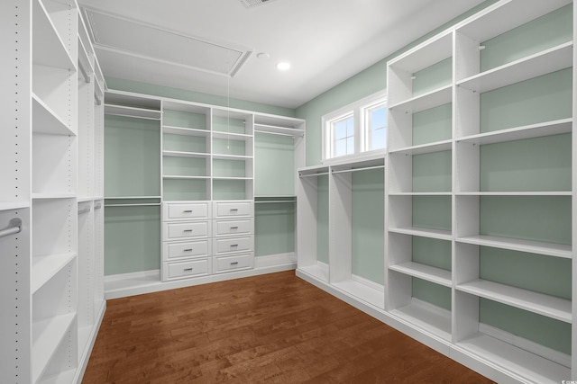 spacious closet featuring attic access and dark wood finished floors