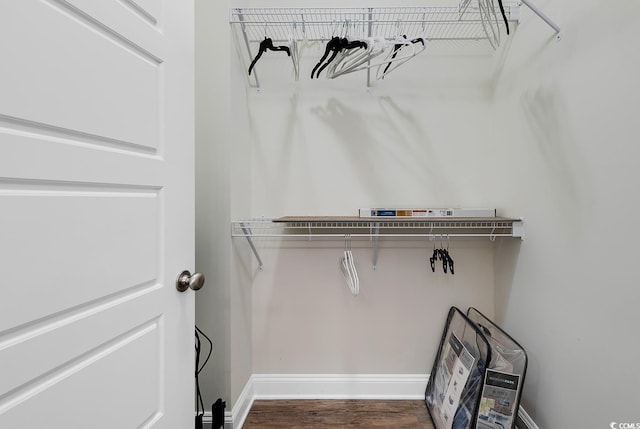 spacious closet featuring wood finished floors