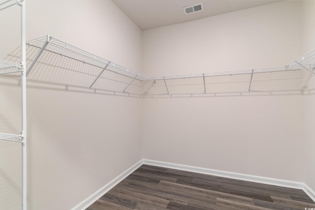 spacious closet with dark wood finished floors