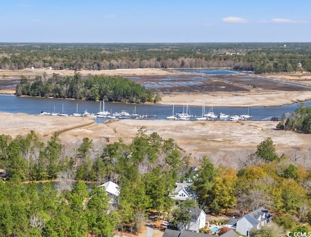 1539 Old Town Ave, Georgetown, SC 29440 - bird's eye view of a nearby body of water