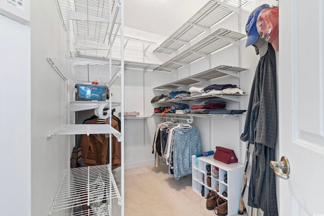 walk in closet featuring carpet floors