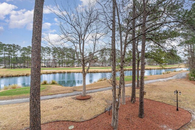 242 Sun Colony Blvd Unit 203, Longs, SC 29568 - water view