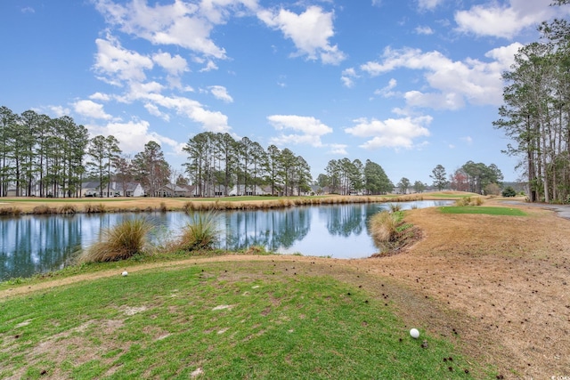 242 Sun Colony Blvd Unit 203, Longs, SC 29568 - property view of water
