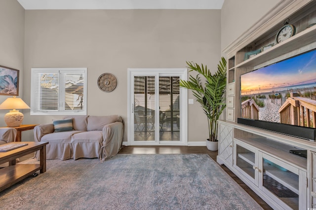 living area featuring baseboards, a high ceiling, and wood finished floors