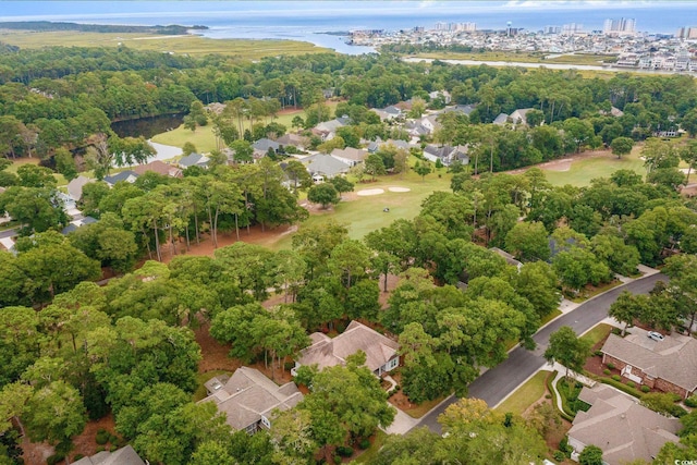 921 Heshbon Dr, North Myrtle Beach, SC 29582 - photo 4