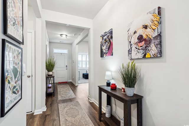 foyer entrance featuring baseboards and dark wood-style floors