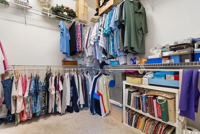 spacious closet with carpet