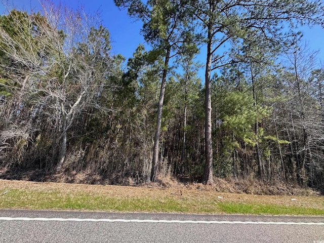 TBD Joyner Swamp Rd, Galivants Ferry SC, 29544 land for sale