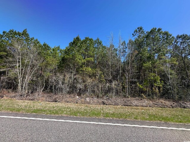 Listing photo 2 for TBD Joyner Swamp Rd, Galivants Ferry SC 29544