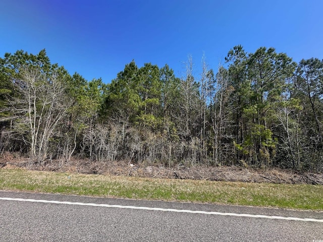 Listing photo 2 for TBD Joyner Swamp Rd, Galivants Ferry SC 29544