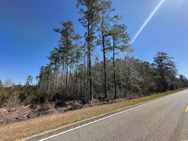 Listing photo 3 for TBD Joyner Swamp Rd, Galivants Ferry SC 29544