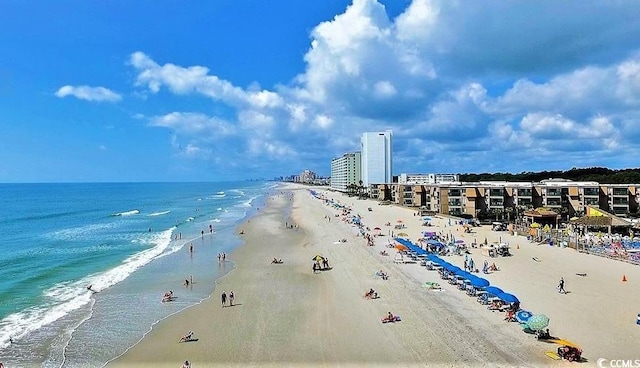 water view featuring a beach view