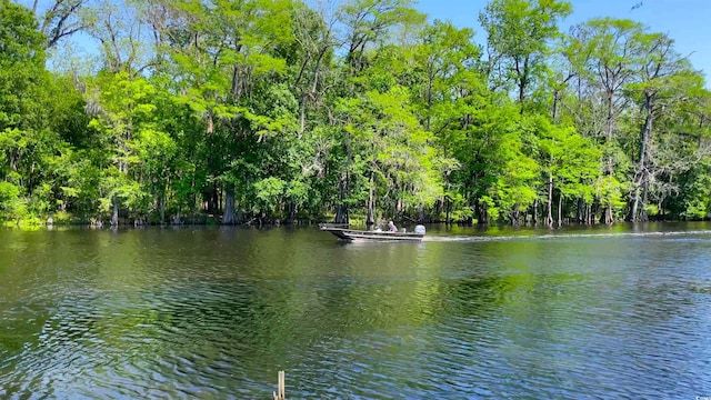 view of water feature with a view of trees