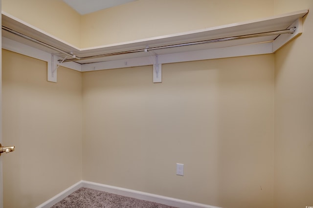 8500 Margate Cir Unit 2808, Myrtle Beach, SC 29572 - spacious closet with carpet
