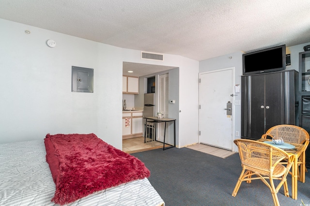 interior space with visible vents, electric panel, light carpet, a textured ceiling, and a sink