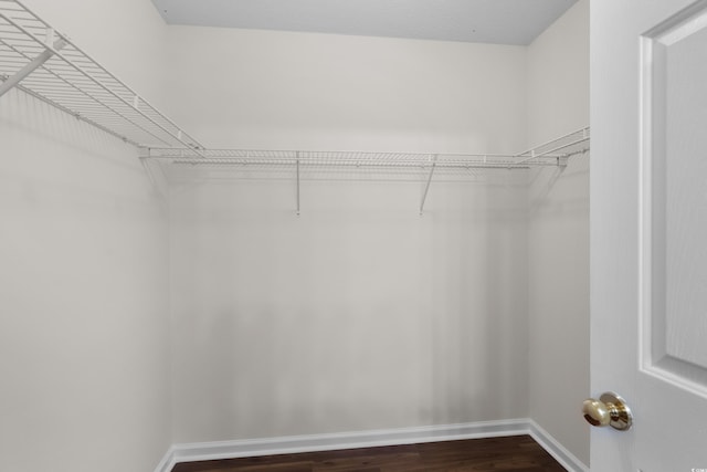 walk in closet with dark wood-type flooring