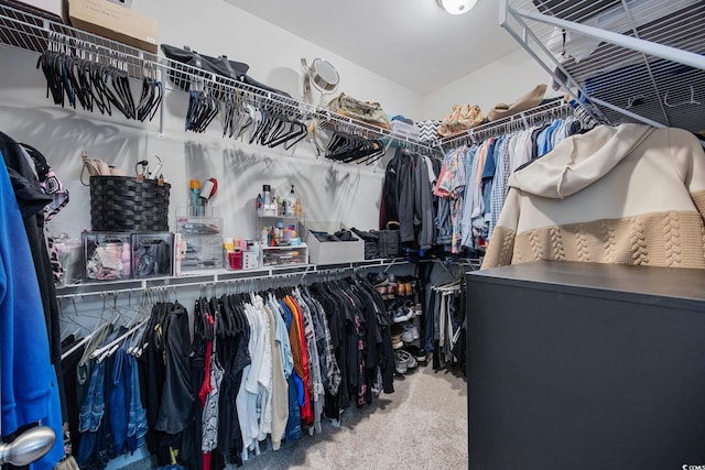 walk in closet with carpet flooring