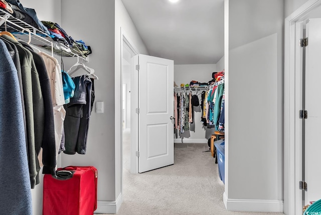 spacious closet featuring carpet floors