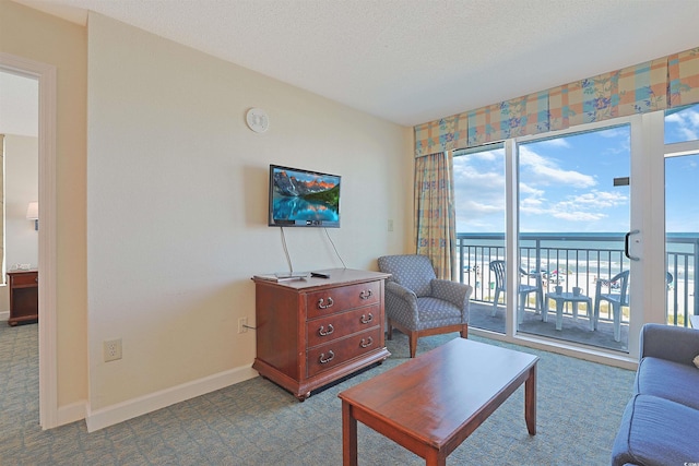 2501 S Ocean Blvd Unit 201, Myrtle Beach, SC 29577 - living room featuring carpet, healthy amount of natural light, and baseboards