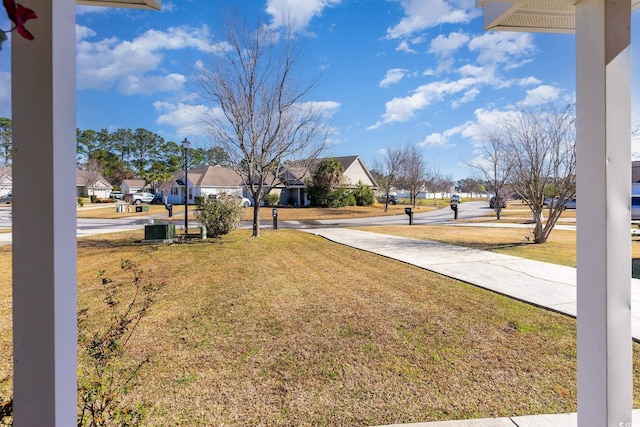 view of yard with a residential view and driveway