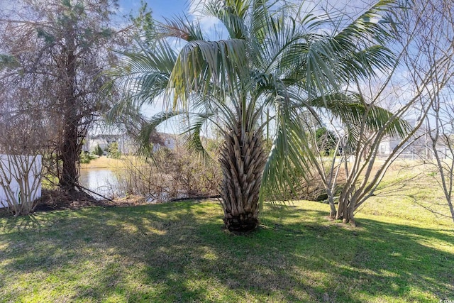 view of yard with a water view