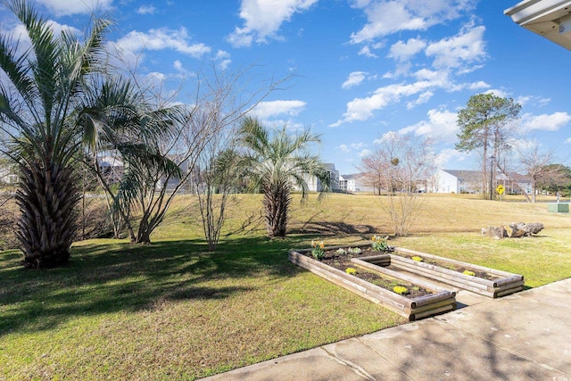 view of yard with a garden