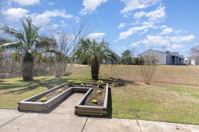 view of yard with a vegetable garden