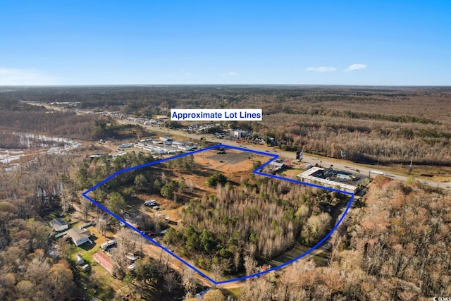 729 E Hwy 501, Conway, SC 29526 - photo 6