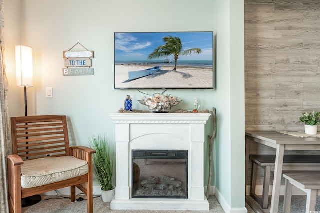 living area with baseboards and a glass covered fireplace