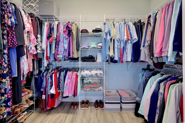 spacious closet featuring wood finished floors