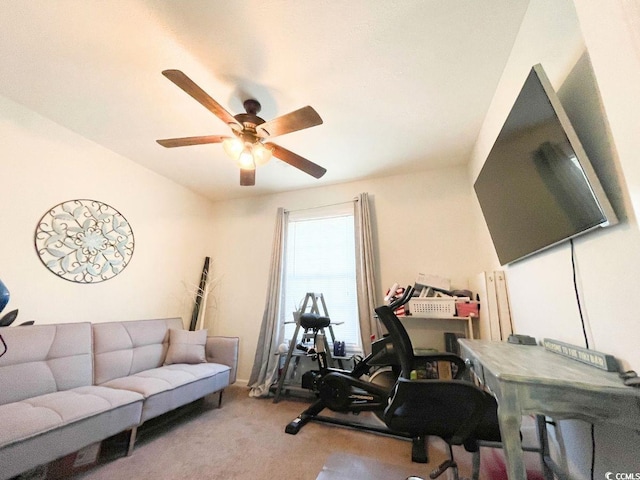 office space featuring ceiling fan and carpet