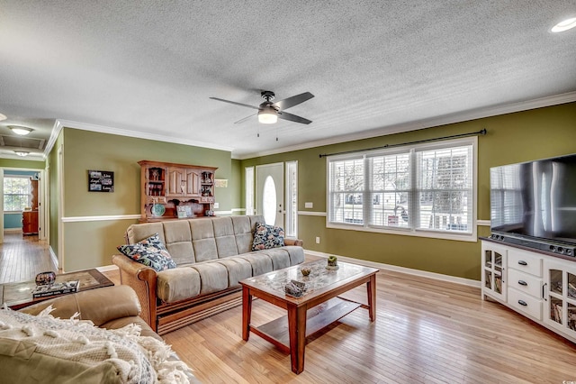 living area featuring crown molding, a ceiling fan, and light wood finished floors