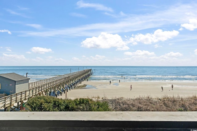 water view featuring a beach view