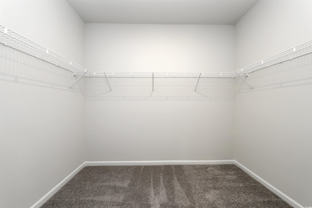 495 Wagner Cir, Conway, SC 29526 - spacious closet featuring carpet flooring