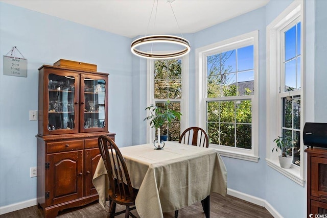 dining room featuring dark wood-type flooring and baseboards