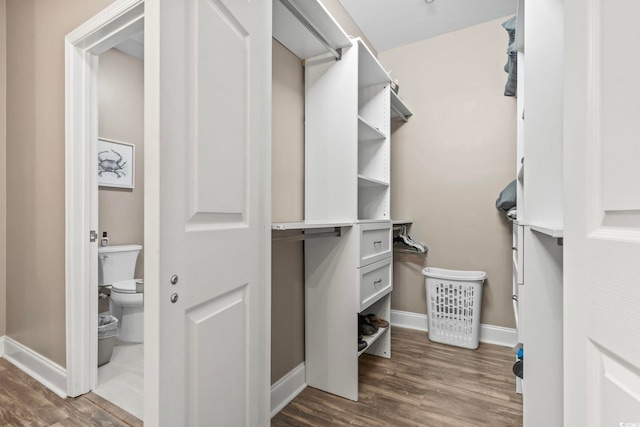 spacious closet featuring dark wood finished floors