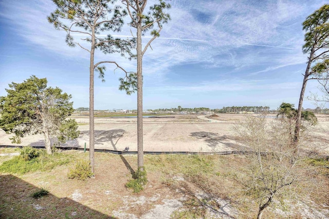 view of yard with a rural view