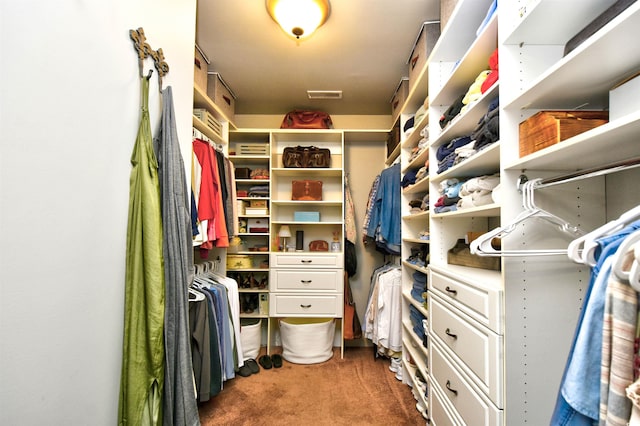 spacious closet with carpet and visible vents