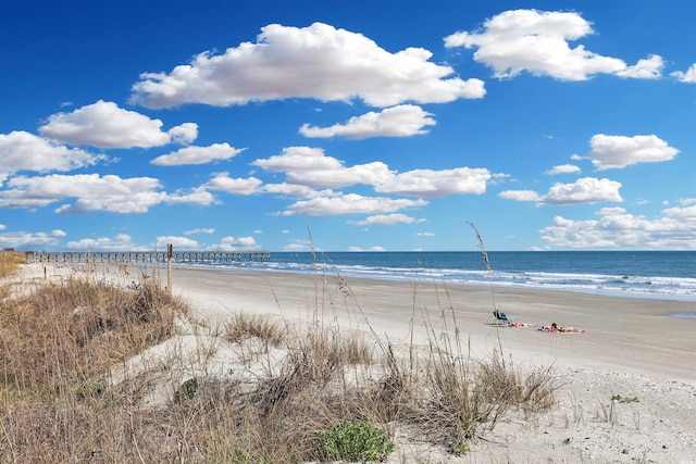 property view of water featuring a beach view